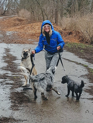 Wiggle Waggle Daycare & Boarding