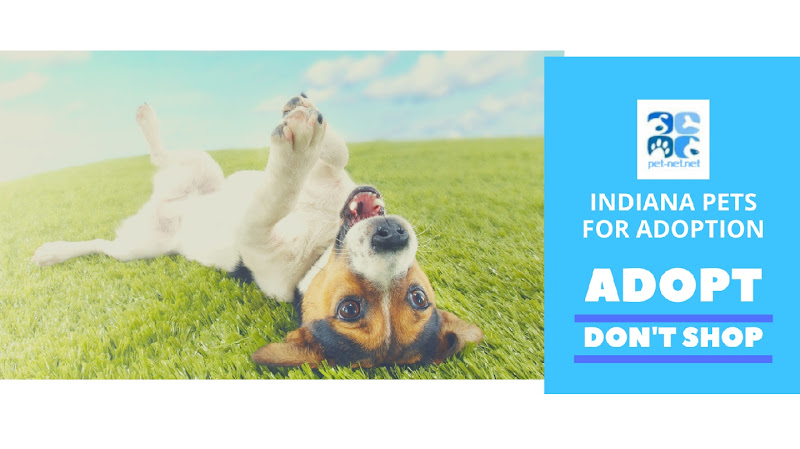 Pet Rehoming Network