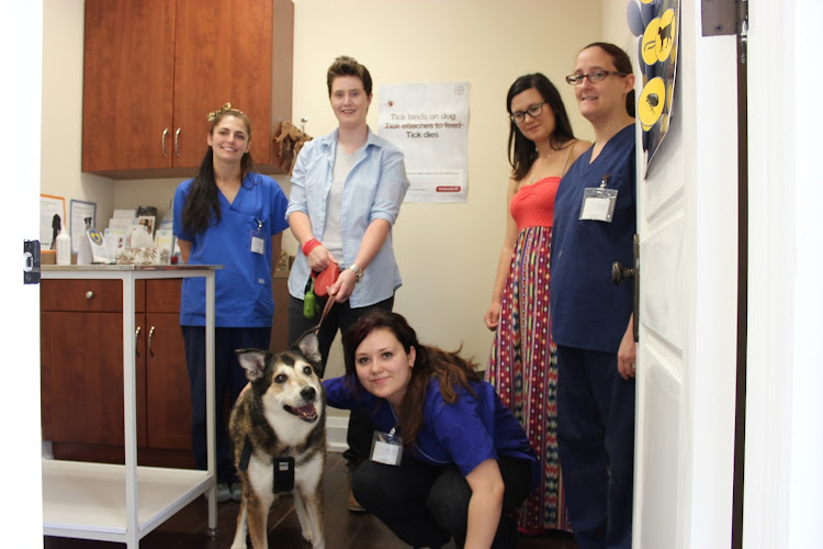 Cornwall Animal Hospital in Oakville
