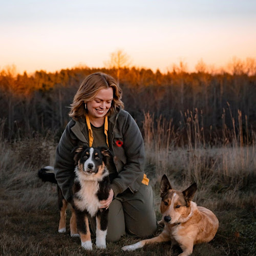 The Mindful Canine
