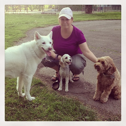 Oppawtunity Walks & Pet Sitting