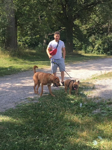 The Walkinator