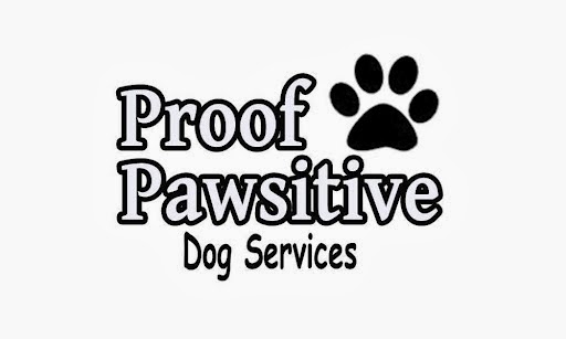 Proof Pawsitive Dog Walkers Toronto