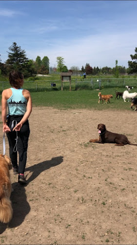 Park Paws Dog Walking