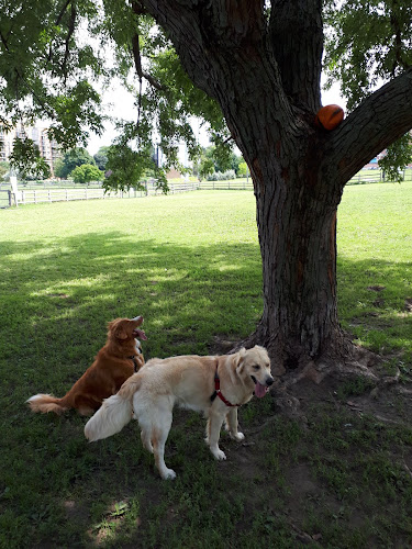 A1TailWaggers