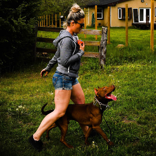 Fit k9 Canada