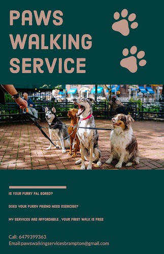 Paws walking services