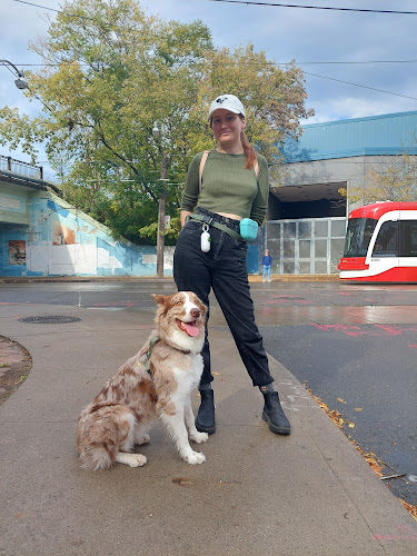 Jess Walks Dogs