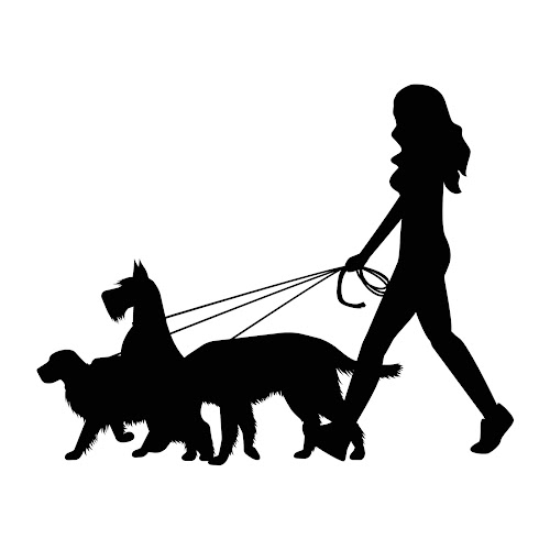 Fur Baby Care and Sitting