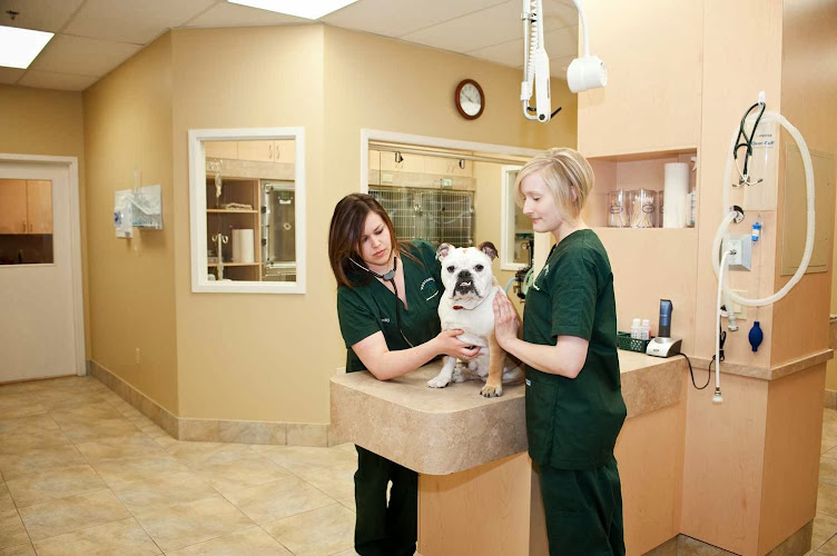 Westbridge Veterinary Hospital