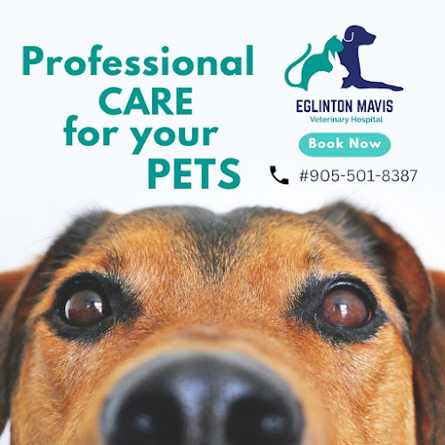Eglinton Mavis Veterinary Hospital