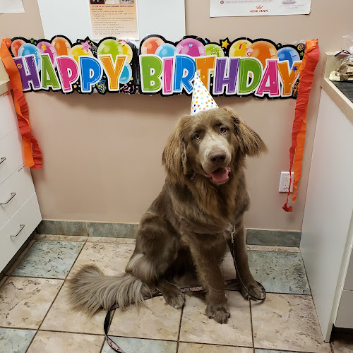 Avonlea Animal Hospital
