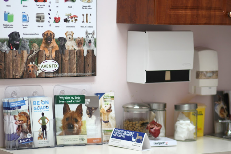 Thomas Glen Erin Animal Hospital
