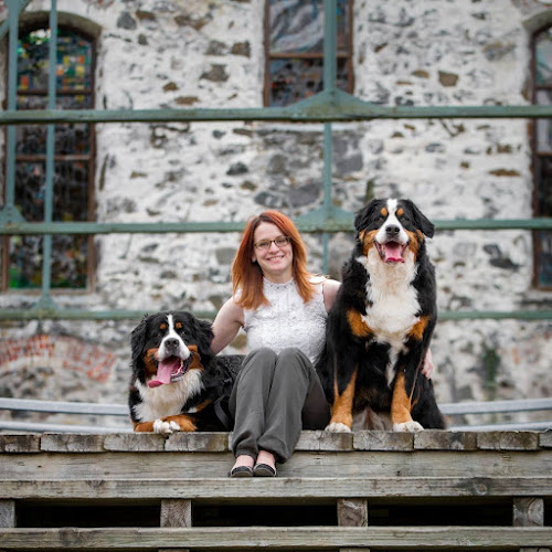 BerneJeannois – Artisan Styliste Toiletteur et intervenant en comportement canin