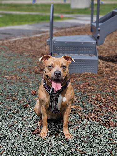 Pretty Pitty Pet Care