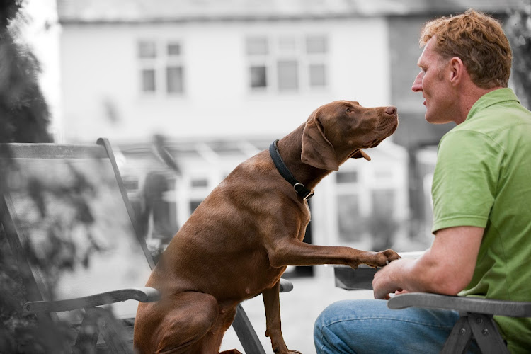 VCA Canada Petrolia Veterinary Services