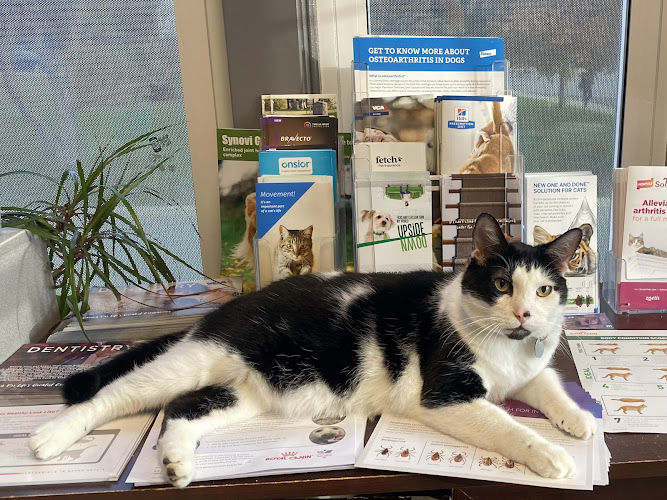 VCA Canada Matthews Animal Hospital