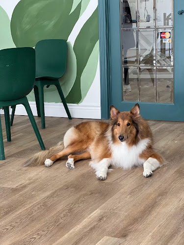 C&D Pet Studio Beaches🇨🇦