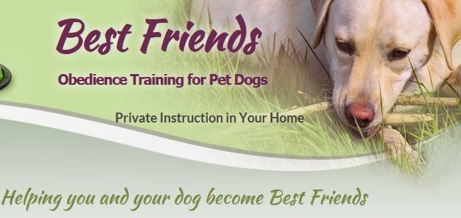 Best Friends Obedience Training