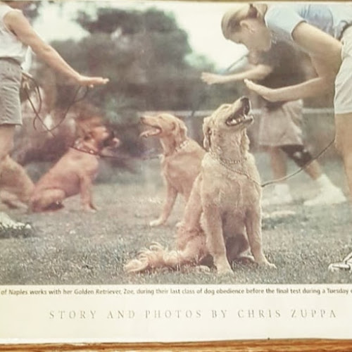 Magic Touch Dog Training and Consulting Inc.