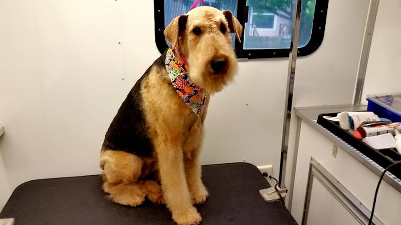 Woof Wash Mobile Pet Grooming