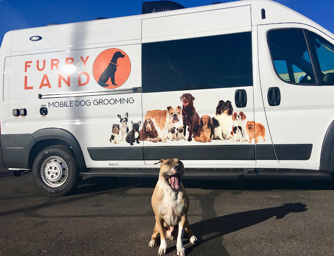 Furry Land – Mobile Grooming