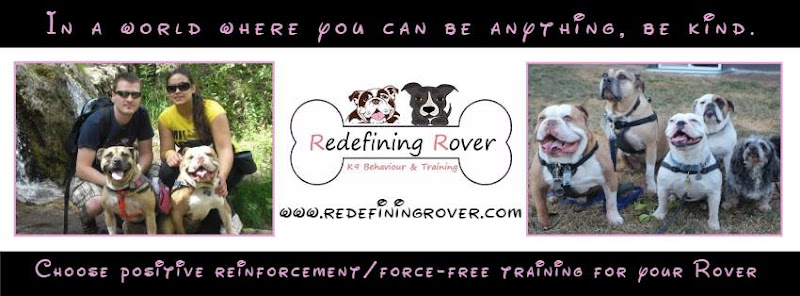 Redefining Rover