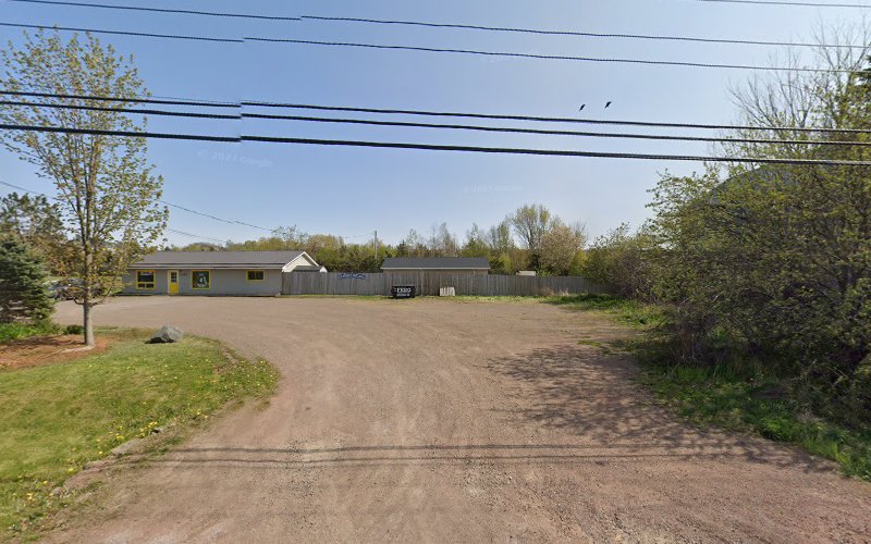 Pilot’s Doggie Daycare & Boarding