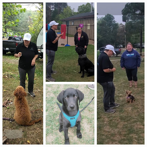 Born 2B Wild Pet Services, Dog Training