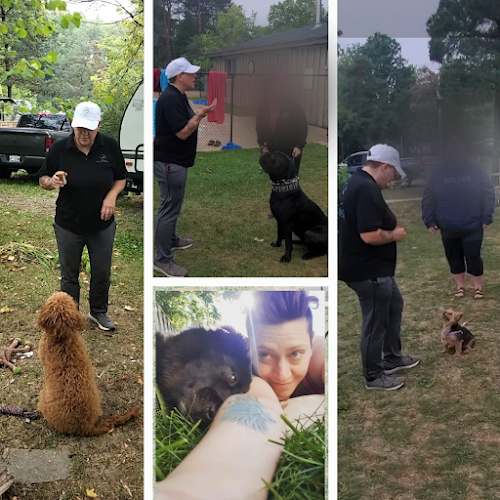 Born 2B Wild Pet Services Toronto Dog Training
