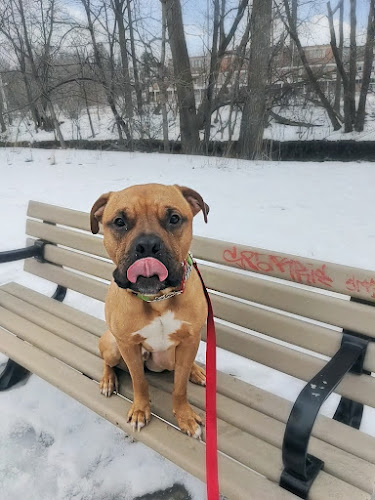 CanCadamy