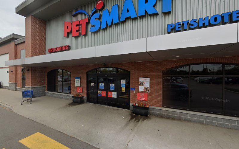 PetSmart Dog Training