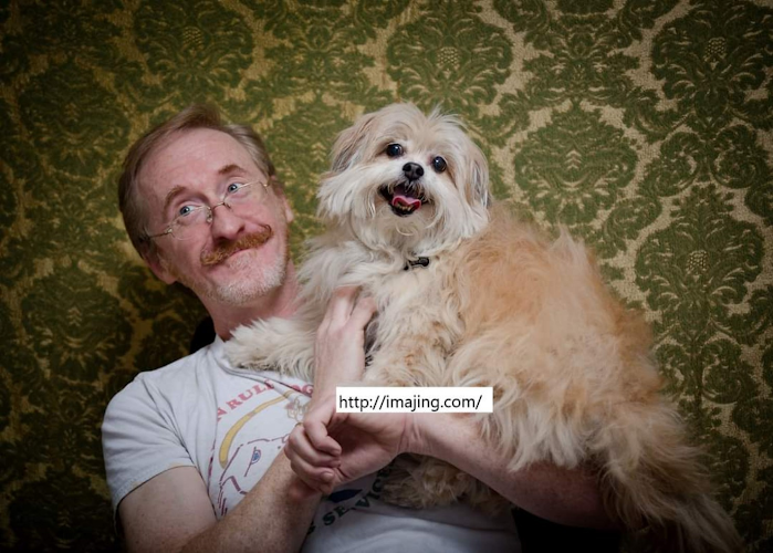 Golden rule dogs