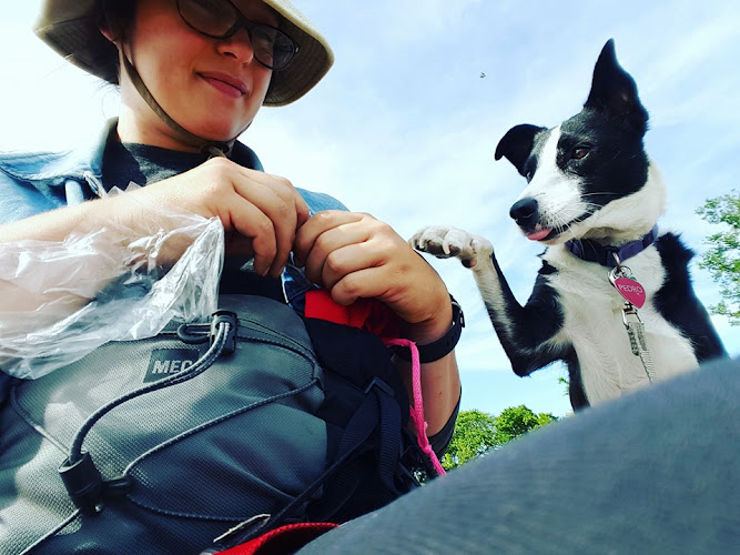 Sparky’s Comrade – Positive Reinforcement Dog Trainer