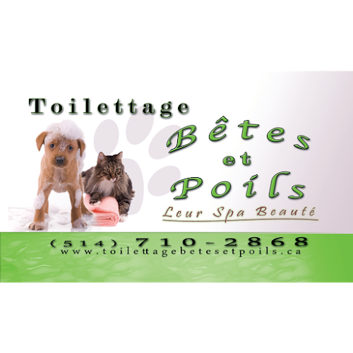 Toilettage Betes et Poils