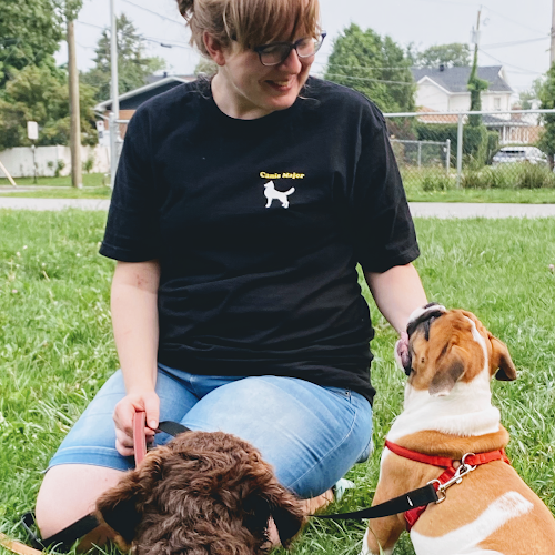 Canis Major Éducation Canine
