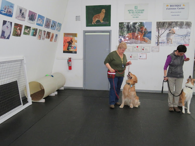 Club Canin La Laisse D’Or
