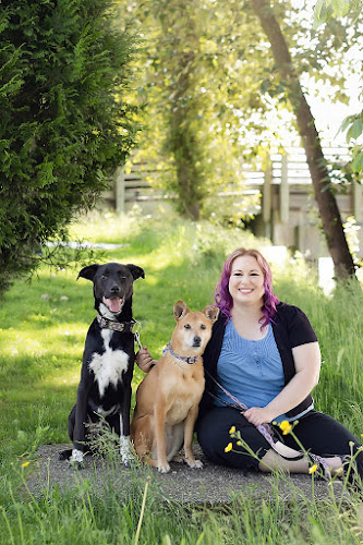 Harmony Animal Training & Behaviour