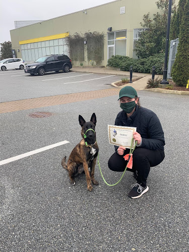 Moonstone Dog Training and Services