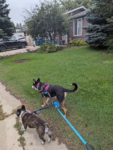 Casey’s Cozy Critters Pet Sitting