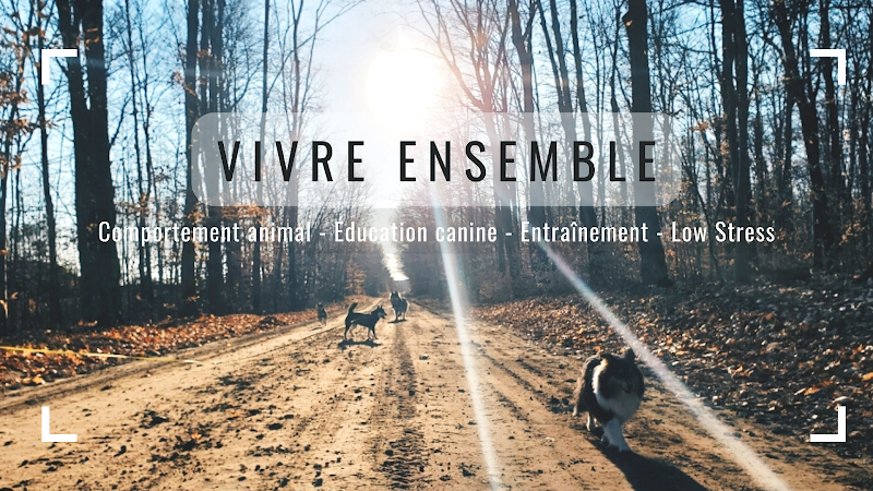 Vivre Ensemble Comportement Animal