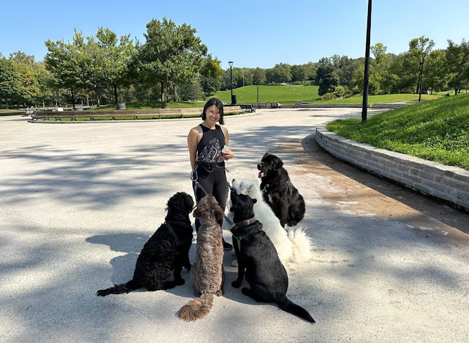 Adrianna Dog Training