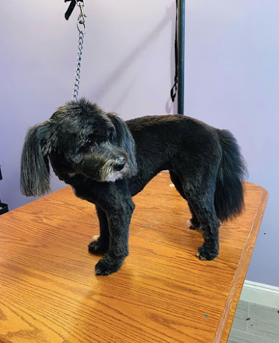 Oakwood Spa for Paws