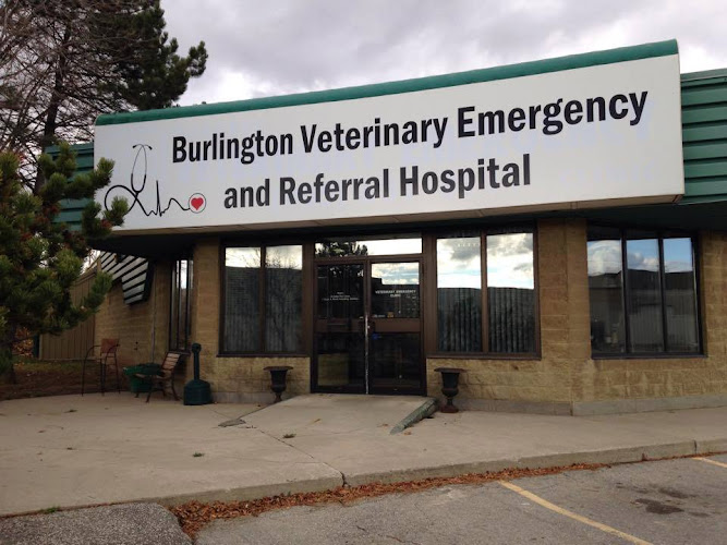Burlington Veterinary Emergency & Referral Hospital