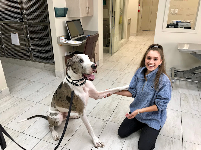 Lakeshore Road Animal Hospital