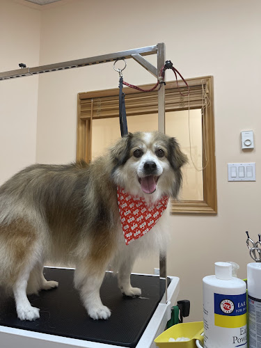 Paws Love Pet Grooming