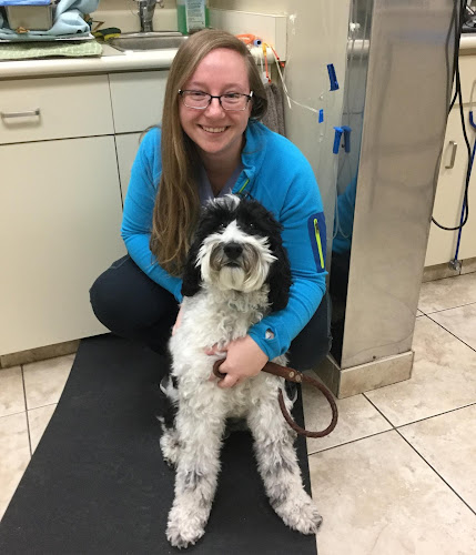 Abbey Animal Hospital
