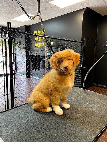 RUFF THE DOG BARBERSHOP