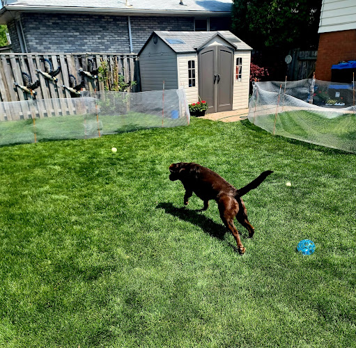 Bonez & Katnip Pet Services