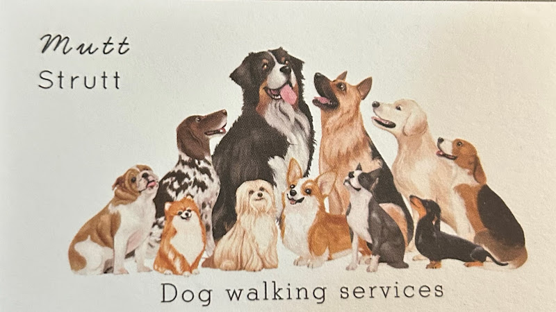 Muttstrutt Dog Walking Service